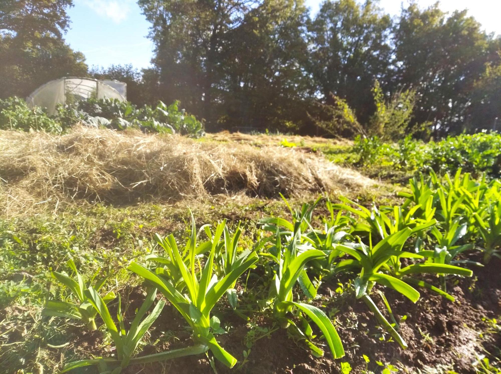 Tente Trappeur Ada, Au Jardin De La Vouivre Saint-Vincent-en-Bresse Eksteriør bilde