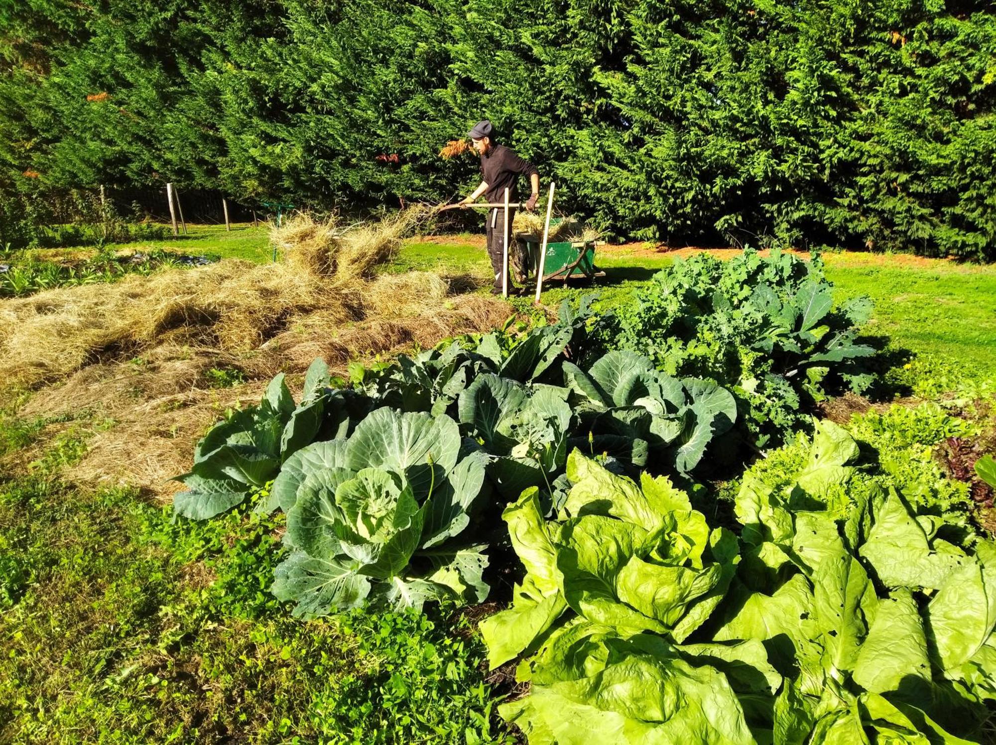Tente Trappeur Ada, Au Jardin De La Vouivre Saint-Vincent-en-Bresse Eksteriør bilde
