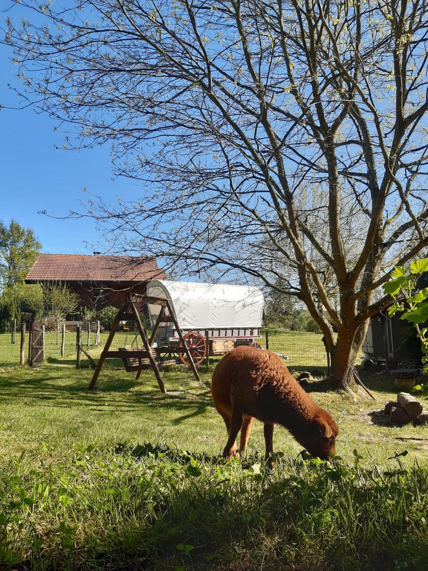 Tente Trappeur Ada, Au Jardin De La Vouivre Saint-Vincent-en-Bresse Eksteriør bilde